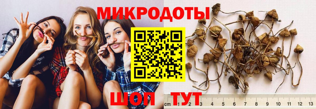 Маркс  как найти закладки  Вход с VPN  Галлюциногенные грибы Cubensis 