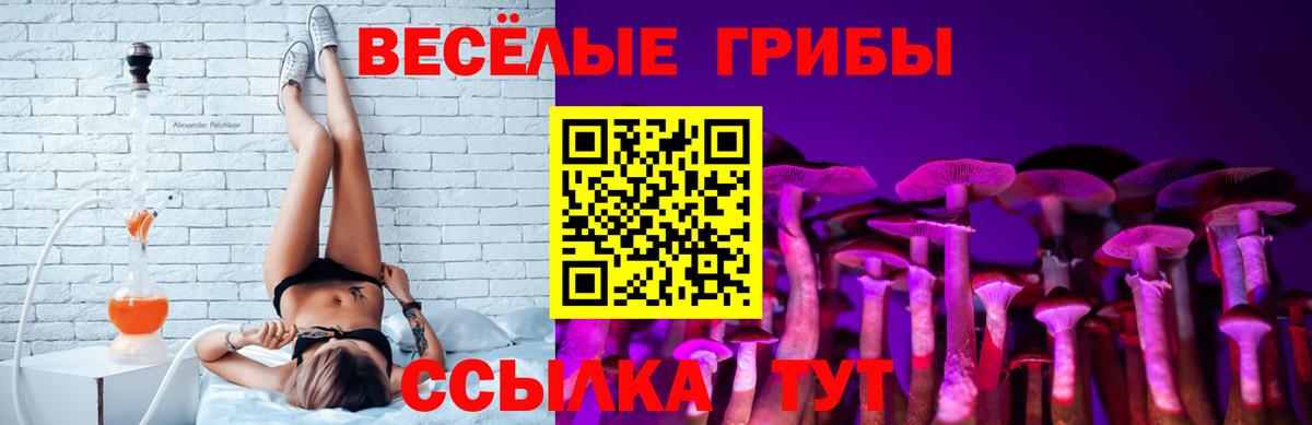 Псилоцибиновые грибы Psilocybine cubensis Маркс