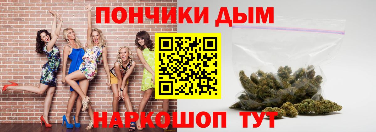 Каннабис планчик  Конопля тримм  Маркс  МАРИХУАНА Amnesia  Вход с VPN 